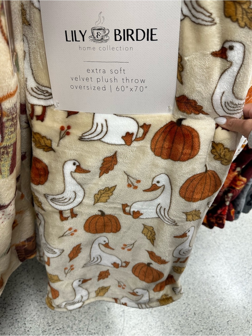 Cream Velvet Plush Goose & Pumpkin Throw